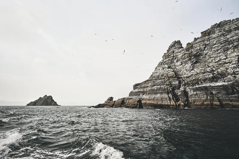 Seabirds circling a steep, stratified sea cliff rising out of choppy grey water.